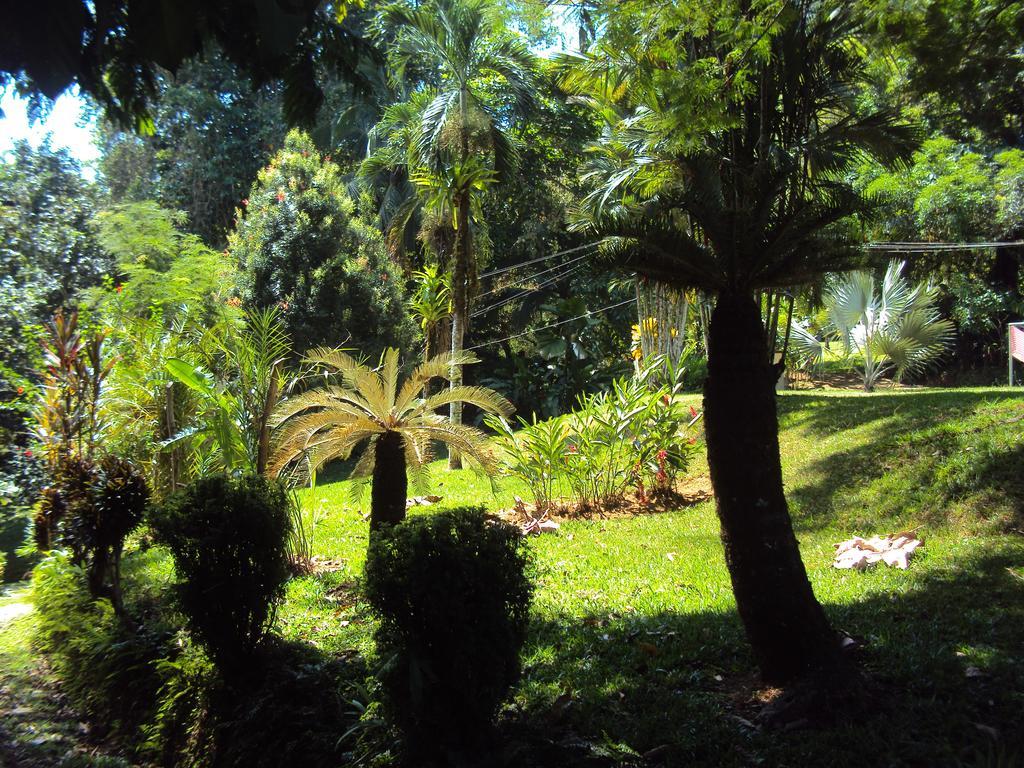 La Purruja Lodge Golfito Εξωτερικό φωτογραφία