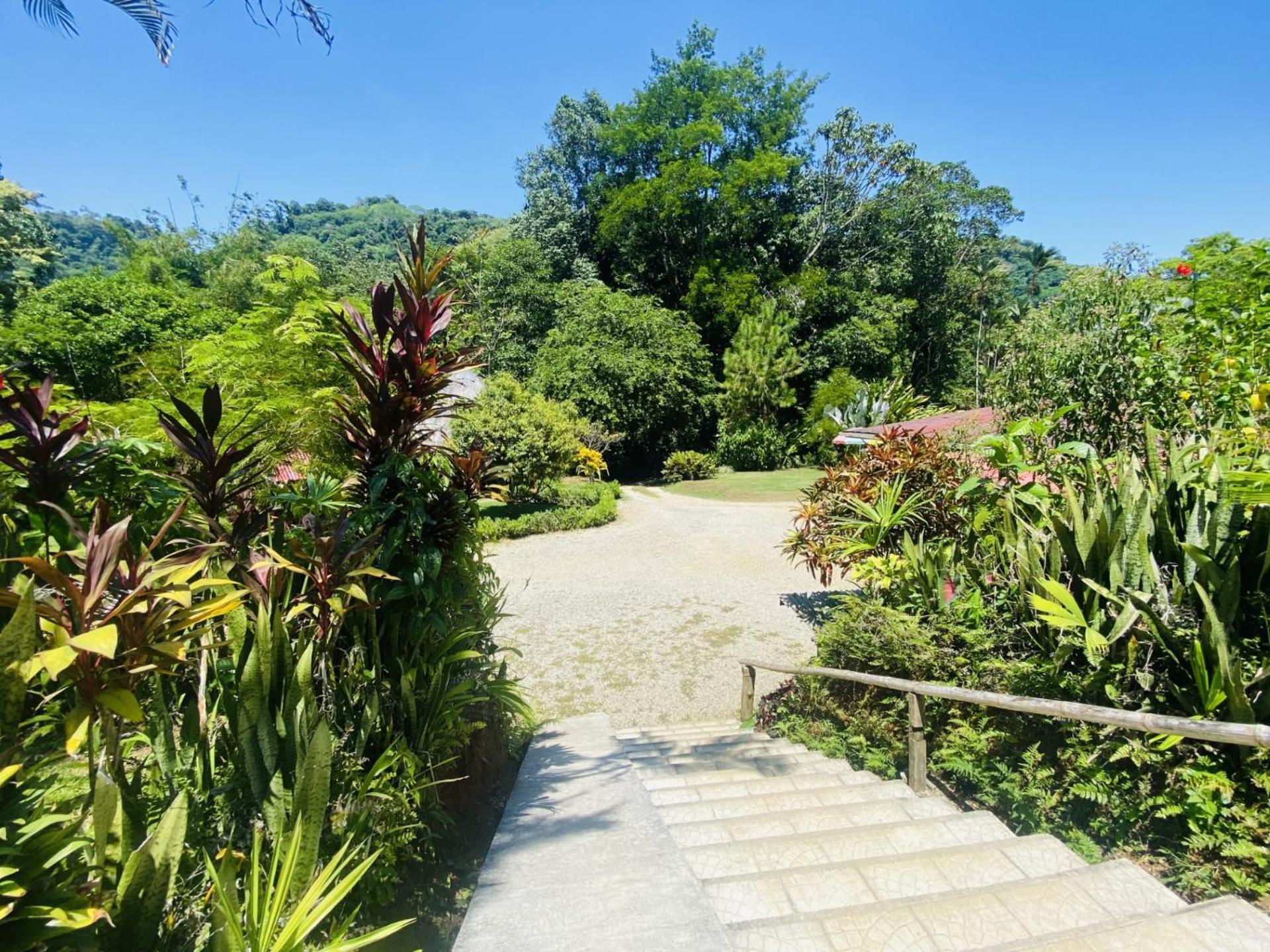 La Purruja Lodge Golfito Εξωτερικό φωτογραφία